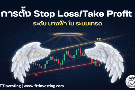 การตั้ง Stop Loss/Take Profit ระดับ นางฟ้า ใน ระบบเทรด