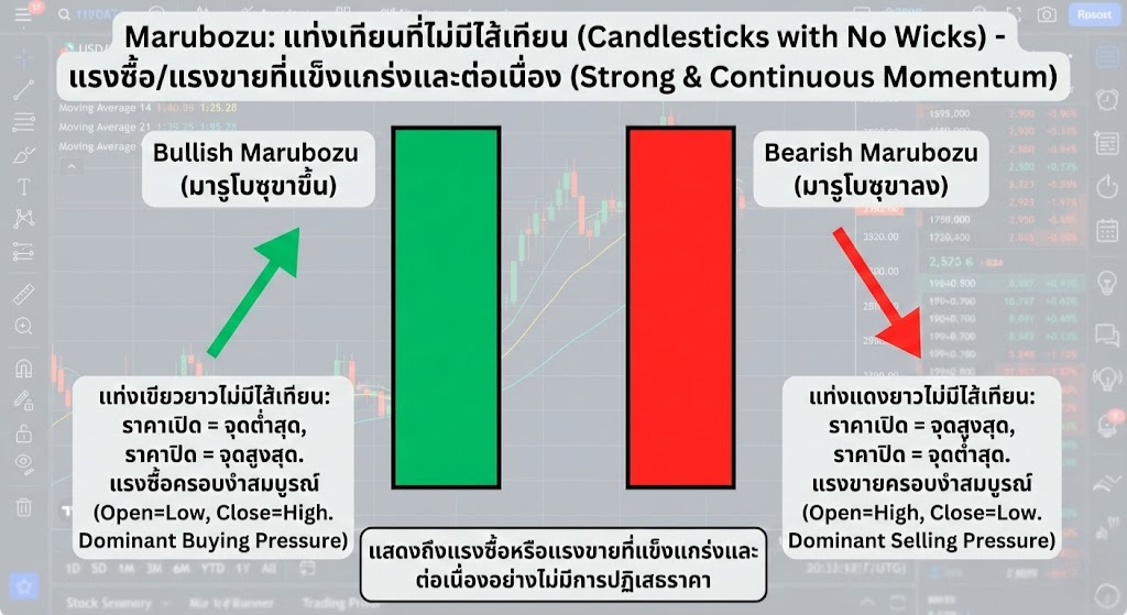Marubozu (มารูโบซุ)
