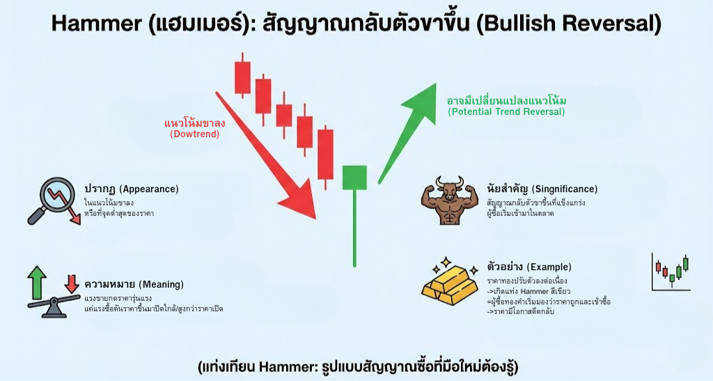 Hammer (แฮมเมอร์)